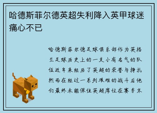 哈德斯菲尔德英超失利降入英甲球迷痛心不已